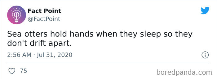 14. Sleeping While Holding Hands.