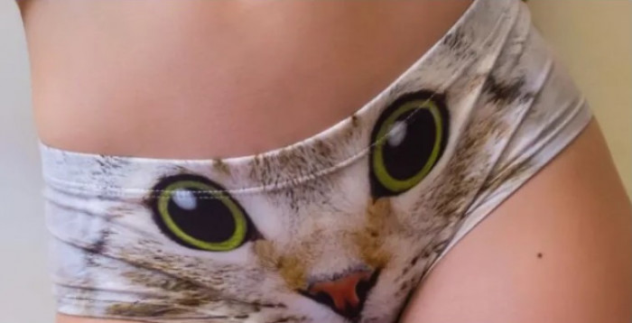 #1 3D cat underwear - complete with little ears that stick up at the back!