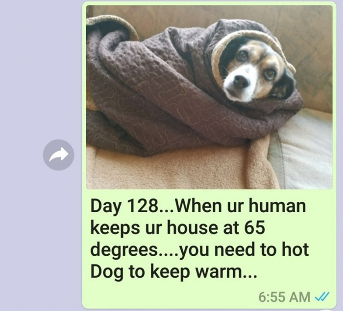 Day 128.