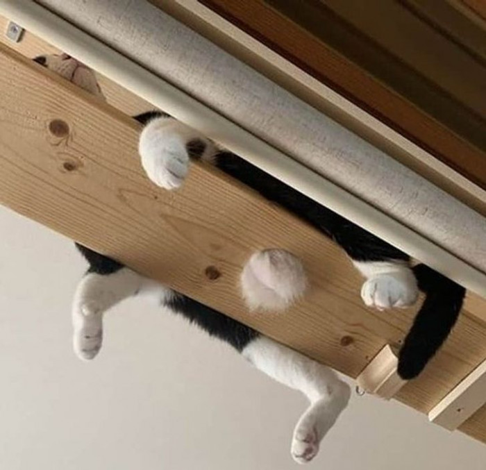 24. “This is more comfortable than you think…”