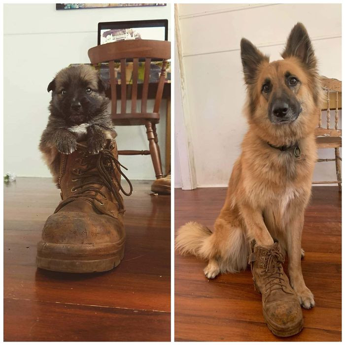 9. Same boot, 3 years after