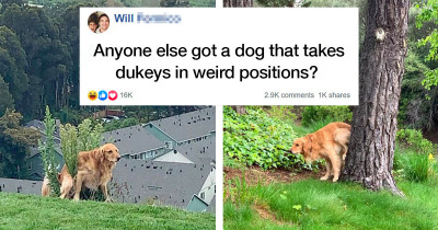 Dog Who Poops In The Weirdest Position Inspires Tons Of People To Share Similarly Weird Pooping Dog Pictures