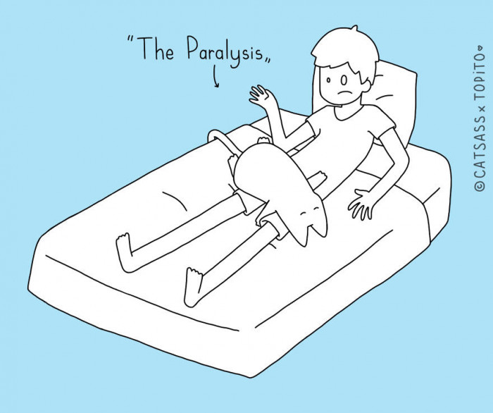 8. When They Won't Move at All, No Matter What You Do