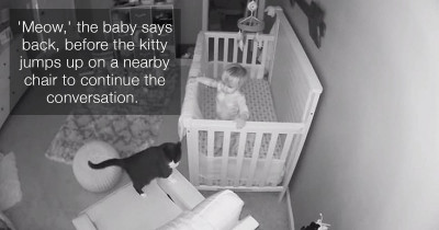 Camera Captures an Adorable Exchange Between Toddler and Pet Cat