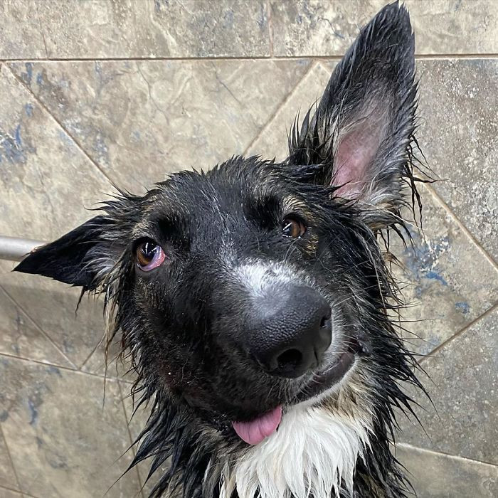 Bath time.