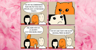 Calling All Crazy Cat Ladies So That They Can Come and Have a Look at These Hilarious Comics