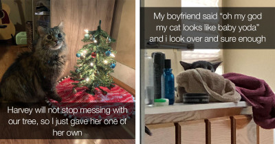 If You Got Up On The Wrong Side Of The Bed This Morning, These Adorable Animal Posts Could Make Your Day