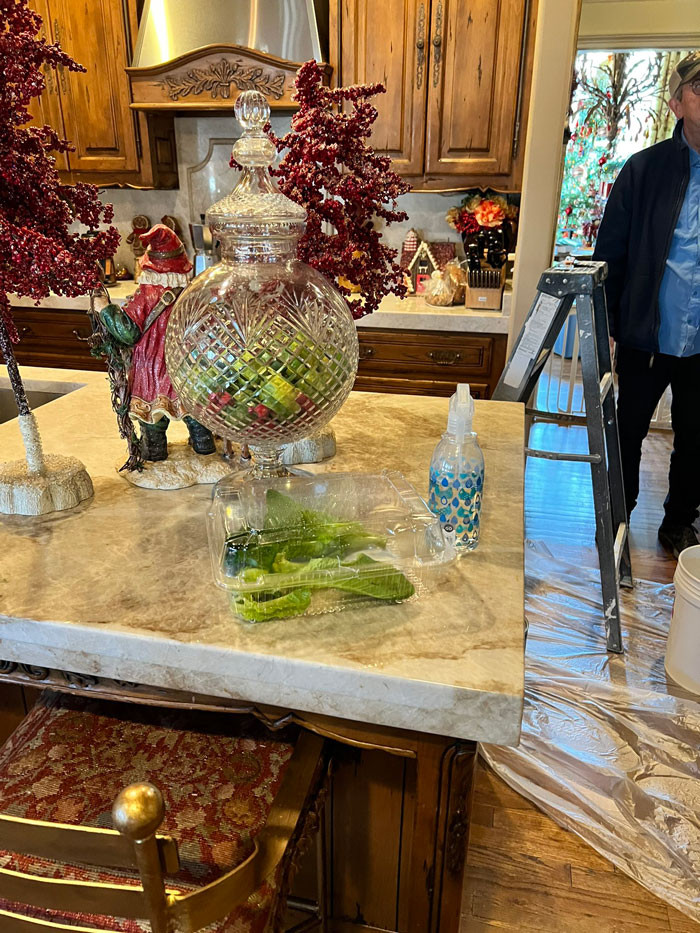 The Lettuce Package Where Tony Was Found