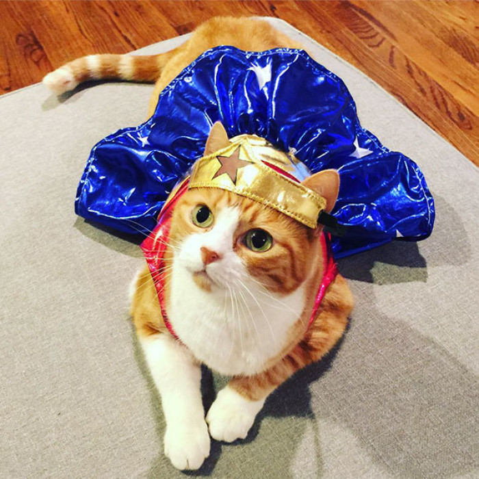 Wonder Woman