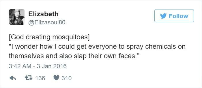 11. Mosquitoes