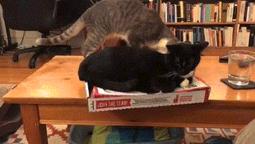 6. Double the trouble!