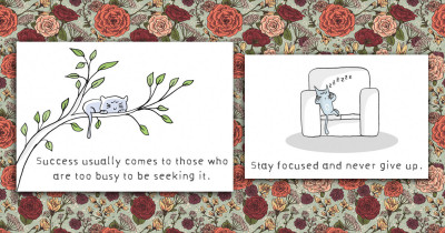 Here Are Success Tips From Cats That You Definitely Need To Pay Attention To