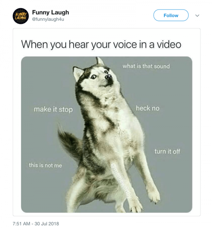 There are two things dogs don't like: