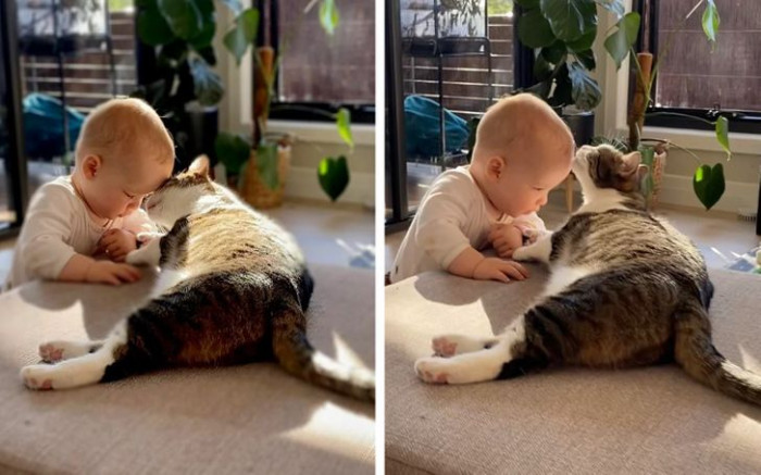 1. “Two of my favorite babies.”