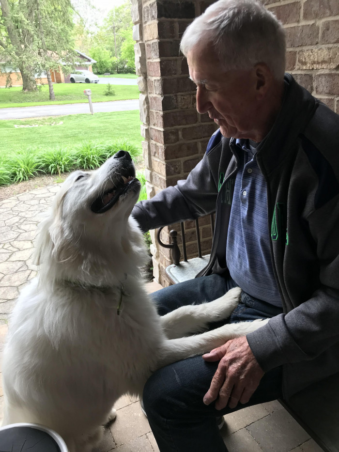 6. "The look my dog gives my grandpa."