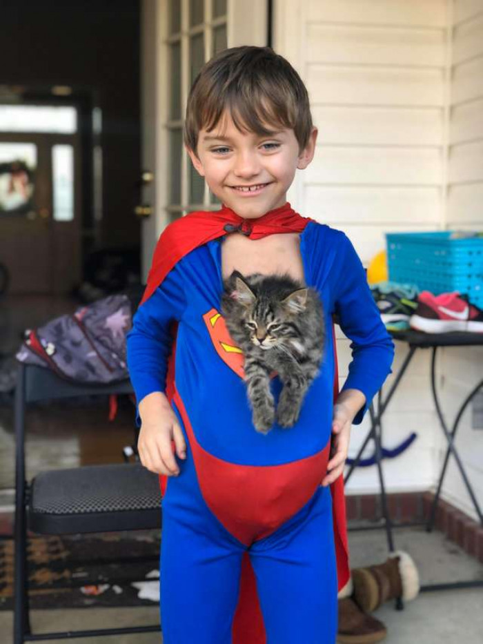 “There was an immediate connection with my son Noah and Meowser,” Ashley Crow, Noah mom, told The Dodo. “They were inseparable.” 