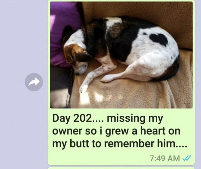 Day 202.
