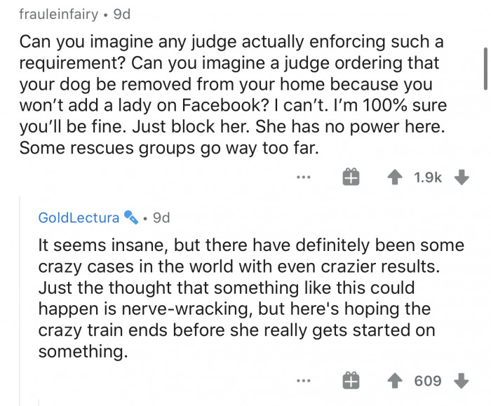 Close-up of a dog during online debate about rescue worker conflict