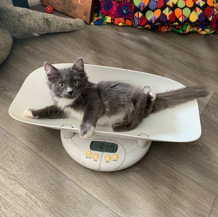 She is the biggest fan of their bonding.