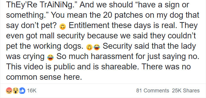 Public scene with a service dog, child and adults gathered around filming.