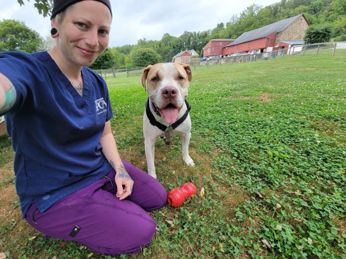 Among the reasons behind his wariness is that he's been at the shelter for a very long time.