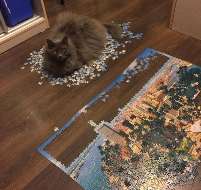 14. Sometimes I feel like they do stuff like this on purpose.