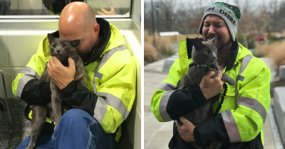 Trucker Has Emotional Reaction After Reuniting With His Lost Cat After Months of Searching