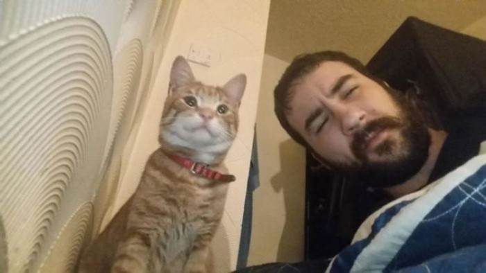 It's 2:45 AM. This isn't your cat. What do you do?