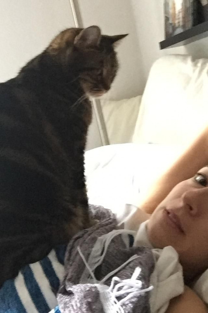 WAKE. UP. RIGHT. MEOW.