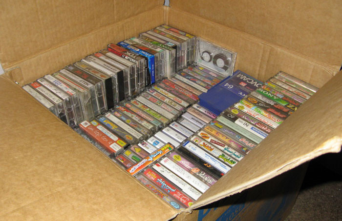 This person does digital archiving.