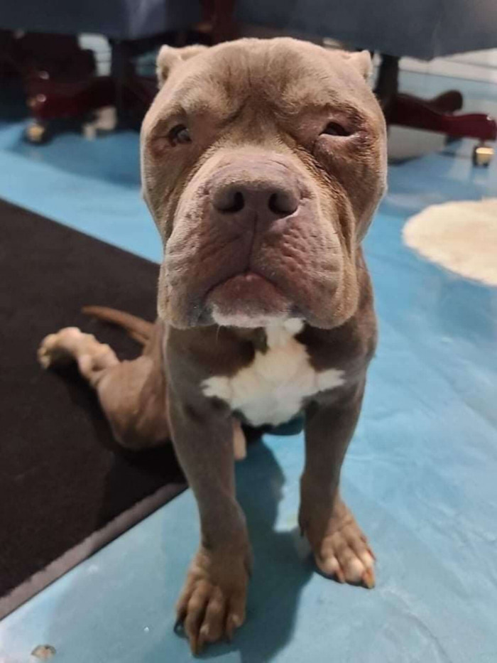 The resilience and high spirits that Liam displays are commendable.