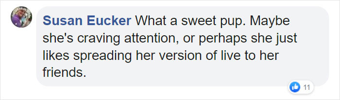Other social media users also had a lot to say about Ruby's video:
