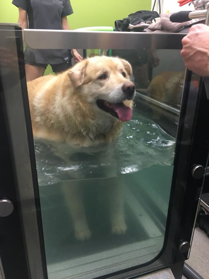 Here is Kai doing hydrotherapy.