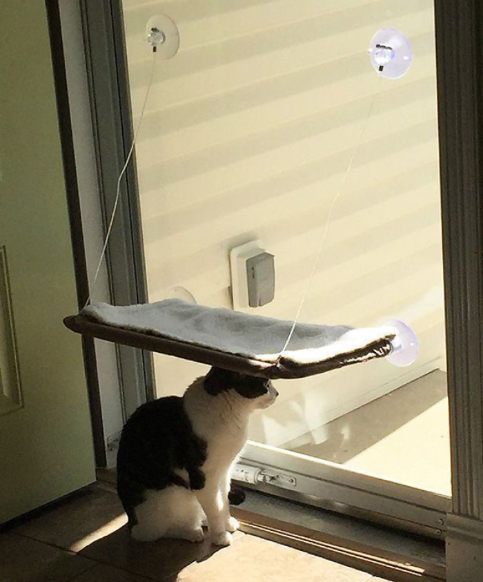 13. Thanks for getting me this umbrella thingy.