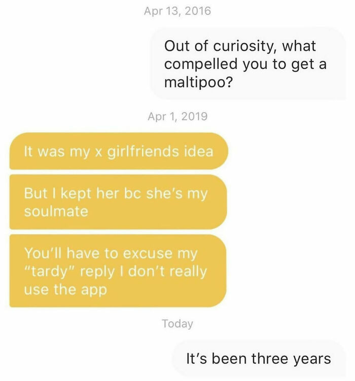 50 Funniest Conversation Encounters On Bumble That Are So Amusing ...