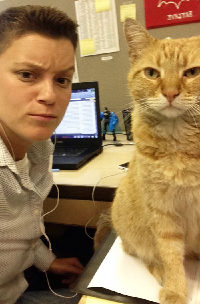 \#27 Selfie With Tom, The Office Cat