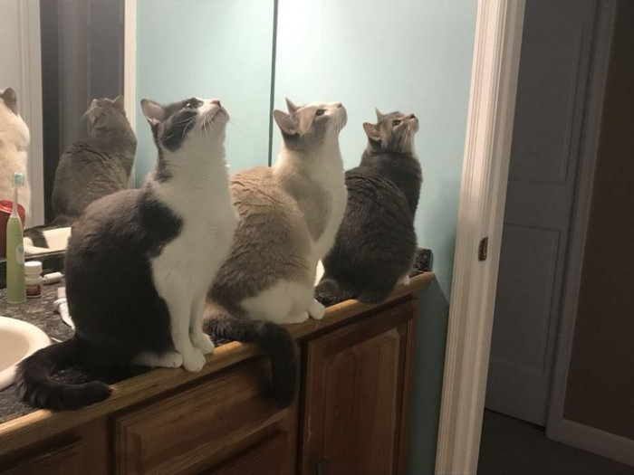 11. Must be something really interesting on the ceiling.