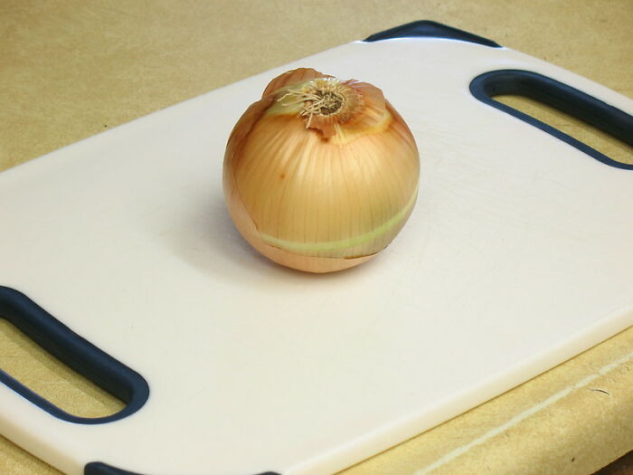 34. If you know how to cut an onion then you're winning. 
