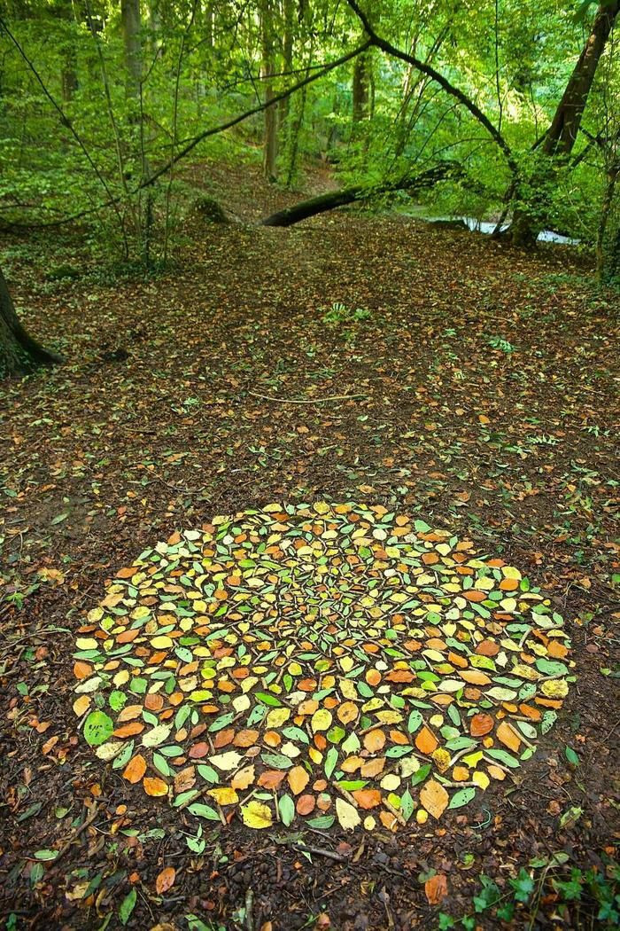 16. Mosaic of autumn leaves