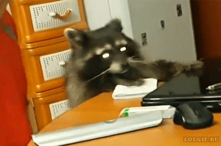 They're all intellectuals and love learning new things.