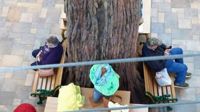 6. These grandparents were waiting for each other at the mall...