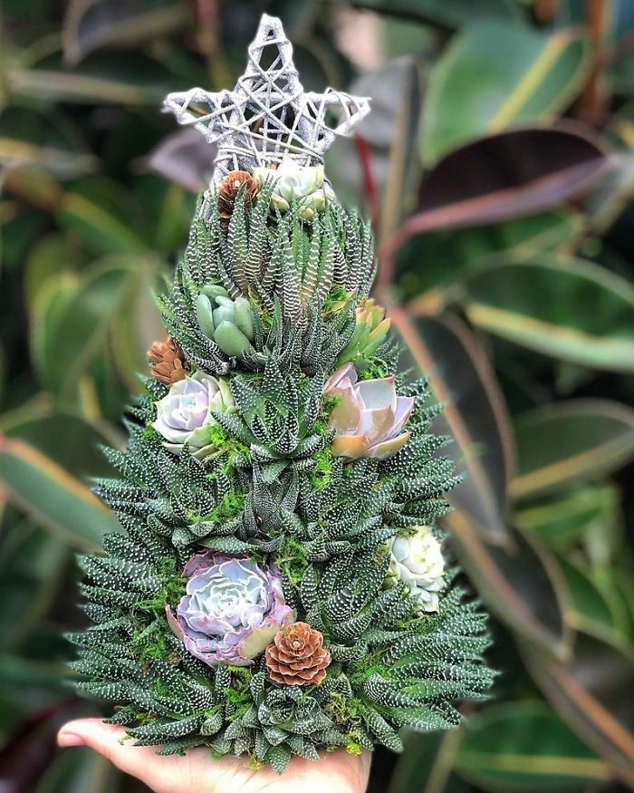 All of the trees available on her site are made with real succulents, crafted by hand with love.