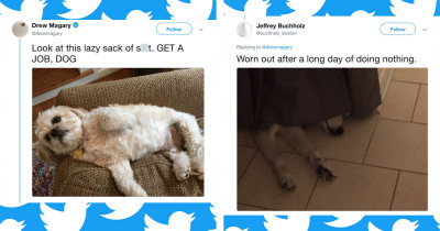 Dog Parents Have Decided To Talk Smack About Their Furry Kids Online And It's Absolutely Hilarious