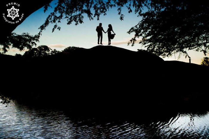 27. Flying Couple By Wellington Fugisse (Brasil)