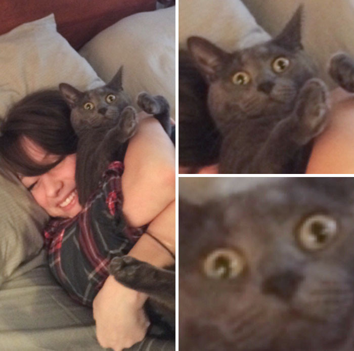 4. "My Girlfriend and Our Cat. The Feeling's Mutual"