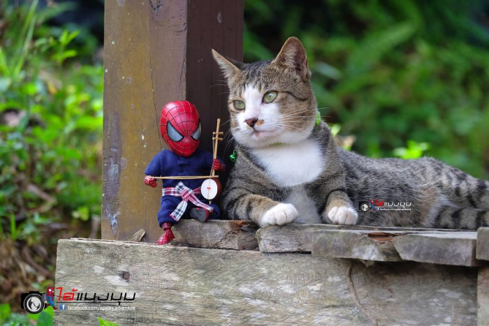 Cat Loving Artist Combines Cats with Marvel Into Hilarious Creations