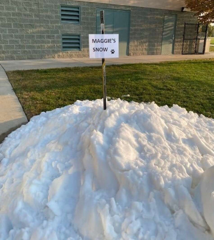 Maggie’s special mountain of snow.