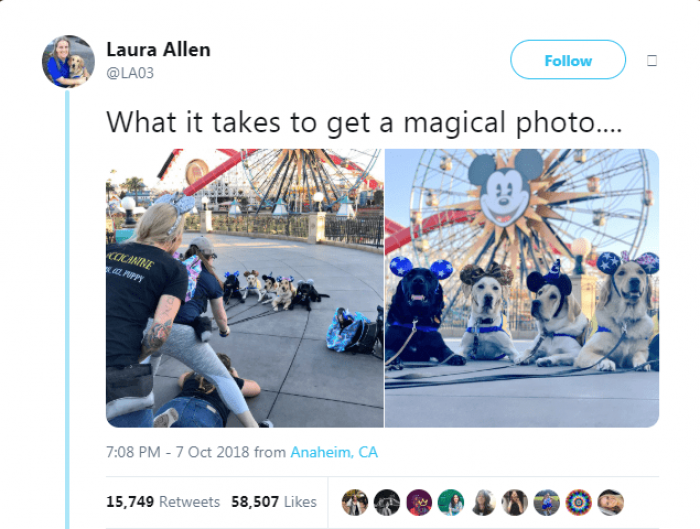 This magical moment is brought to you by: