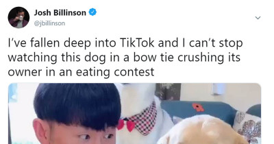Adorable Doggos Are Taking Over The Internet With Their Cuteness