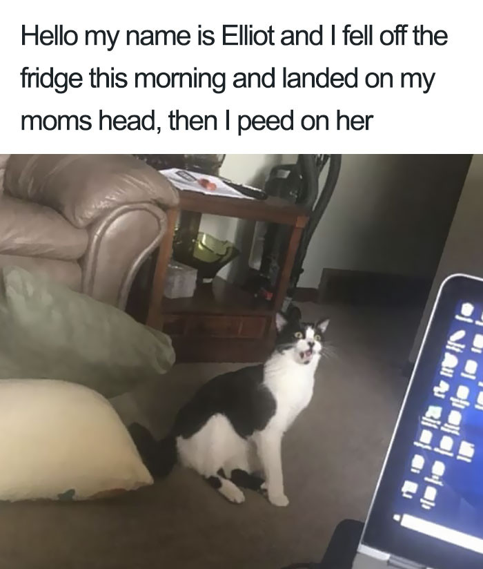 This whole post is a rollercoaster.